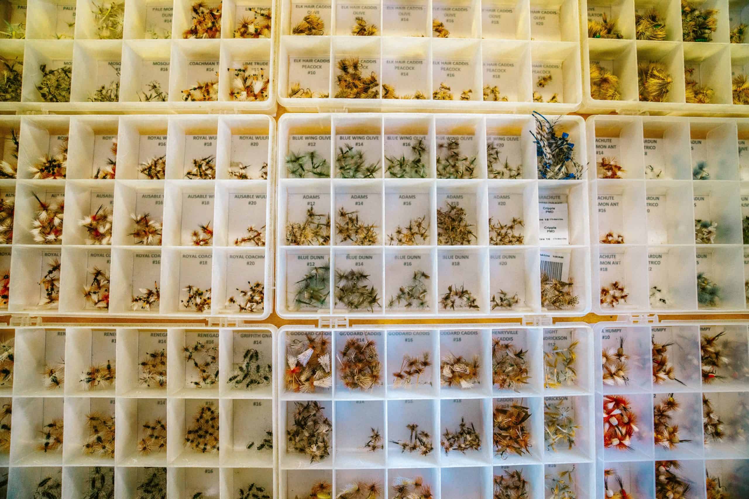 WHO cautions against traditional medicine to treat Covid-19