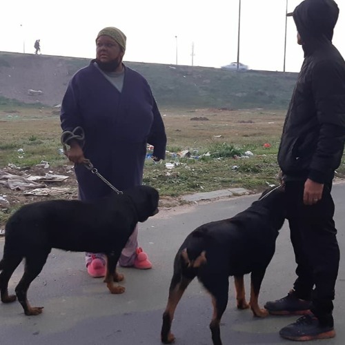 Gown Gang Working Through Faith In Heideveld