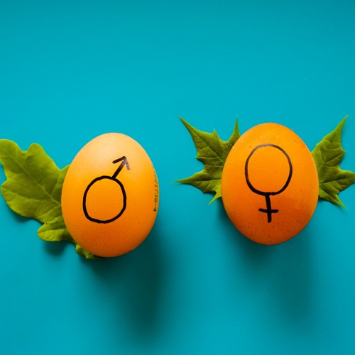 How Muslim Youth Can Navigate Sexuality