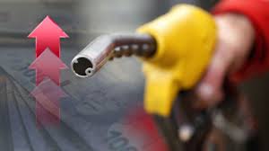 OUTA: Levies Making up Most of Fuel Price