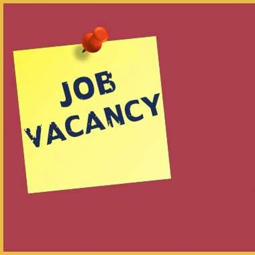 Youth can create their own job opportunities