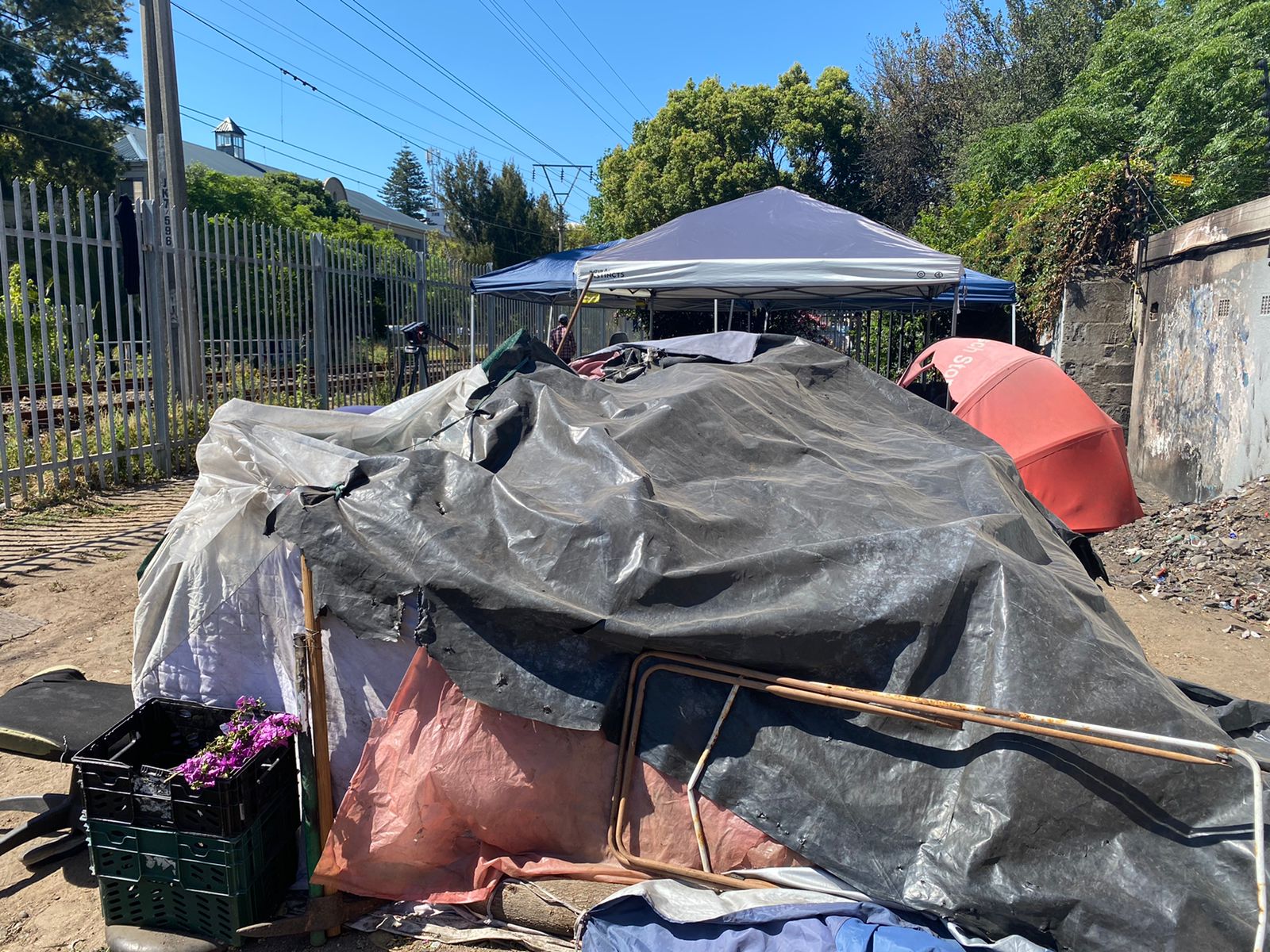 Evictions likely as lockdown lifted