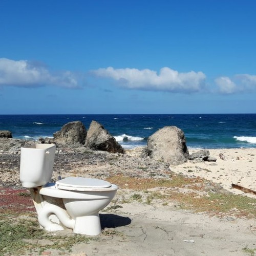 Fixing dignity by fixing toilets