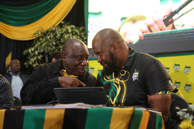 ‘ANC delegates don’t understand the risks the party faces’