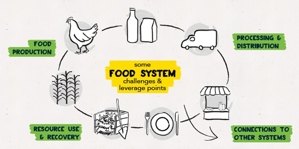 Who runs SA’s food system?