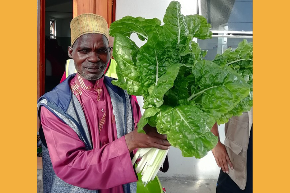 Politics and climate change causing food inequality