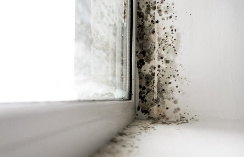 Combatting dampness: Practical tips for a dry home