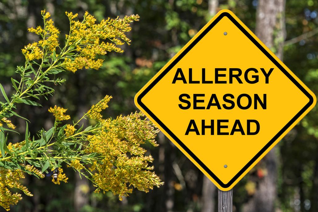 Why do we suffer from seasonal allergies?