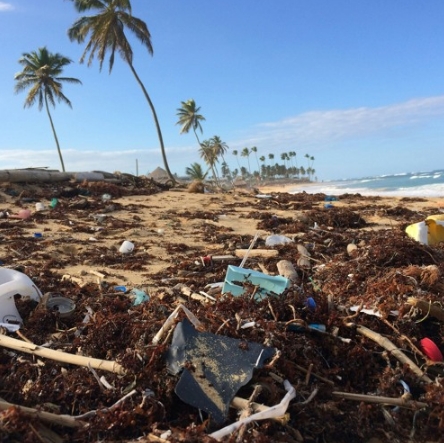 Africa the dumping ground – Waste colonialism