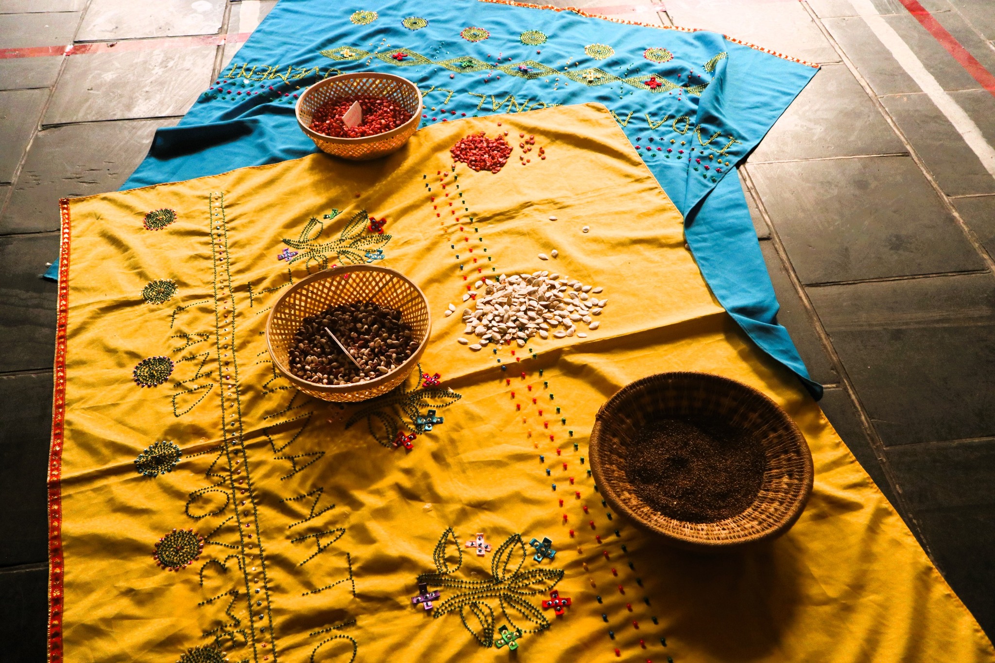 Celebrating rural women as guardians of seed, land, and life