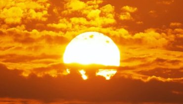 image-650×433 image-650x433